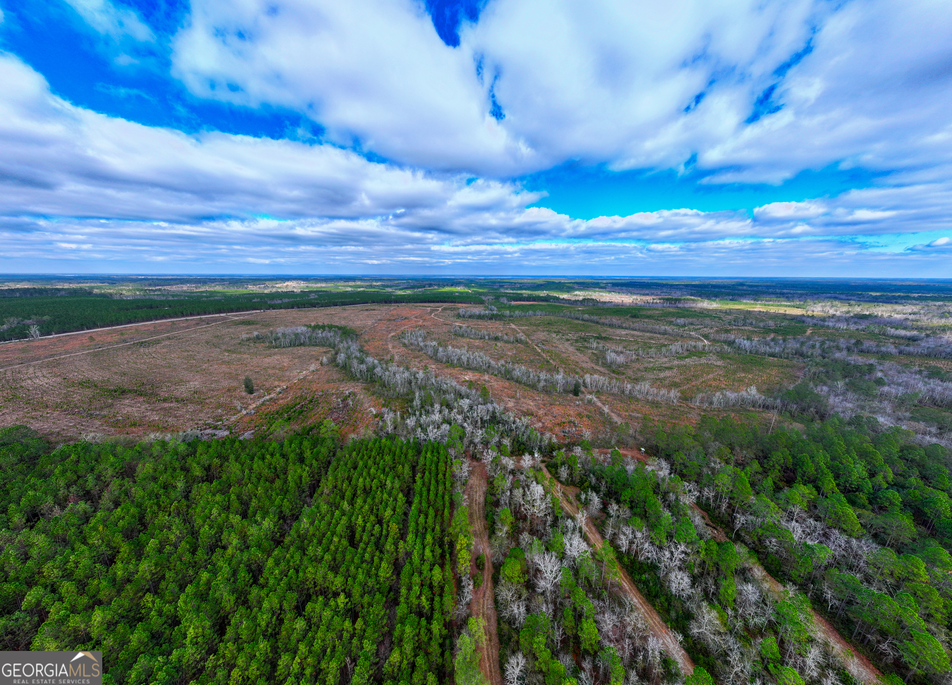 121 Highway 121 Surrency, GA 31563 - Photo 12 of 15 a view of a yard with an ocean