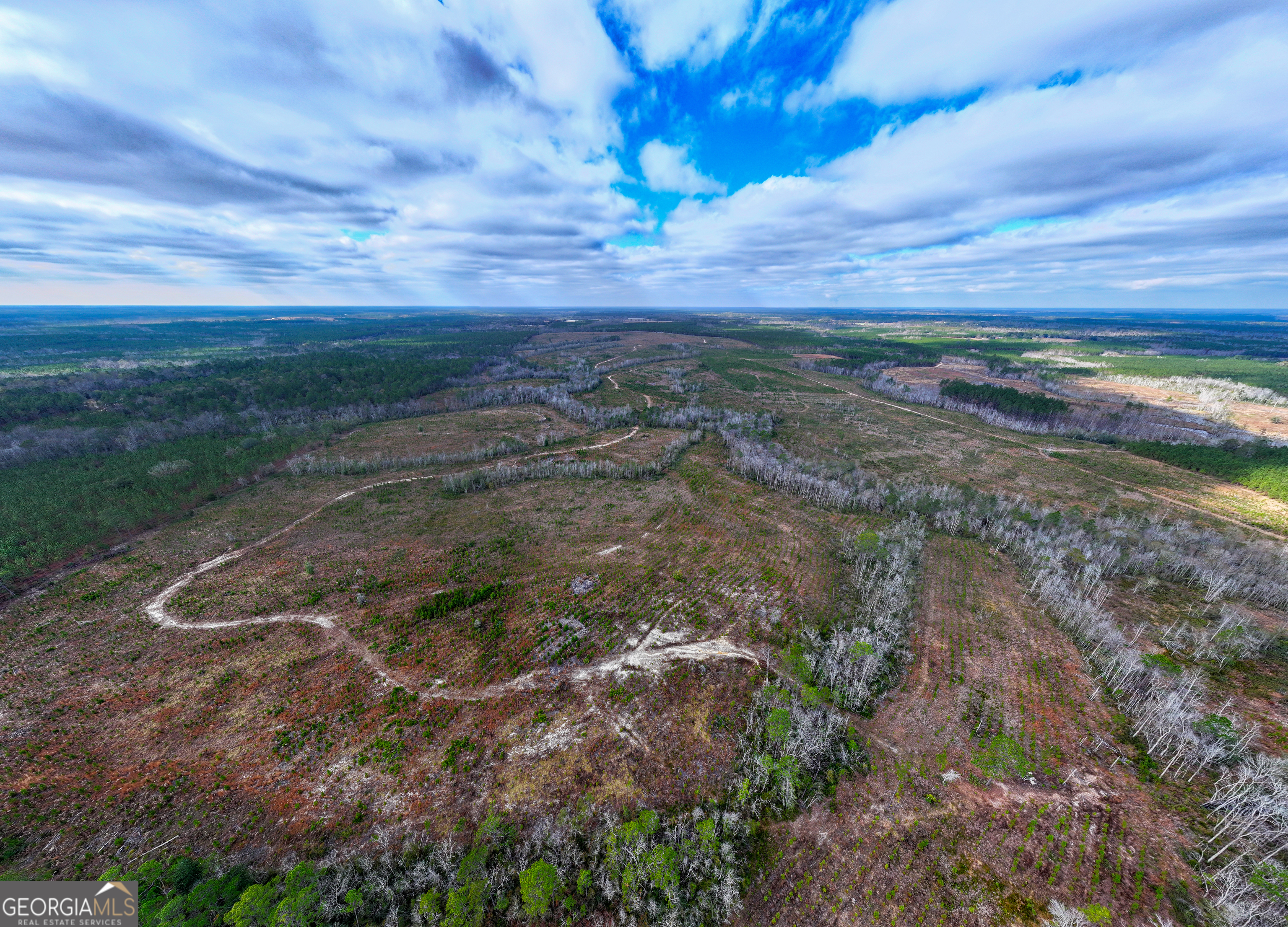 121 Highway 121 Surrency, GA 31563 - Photo 3 of 15 a view of a field with wooden fence