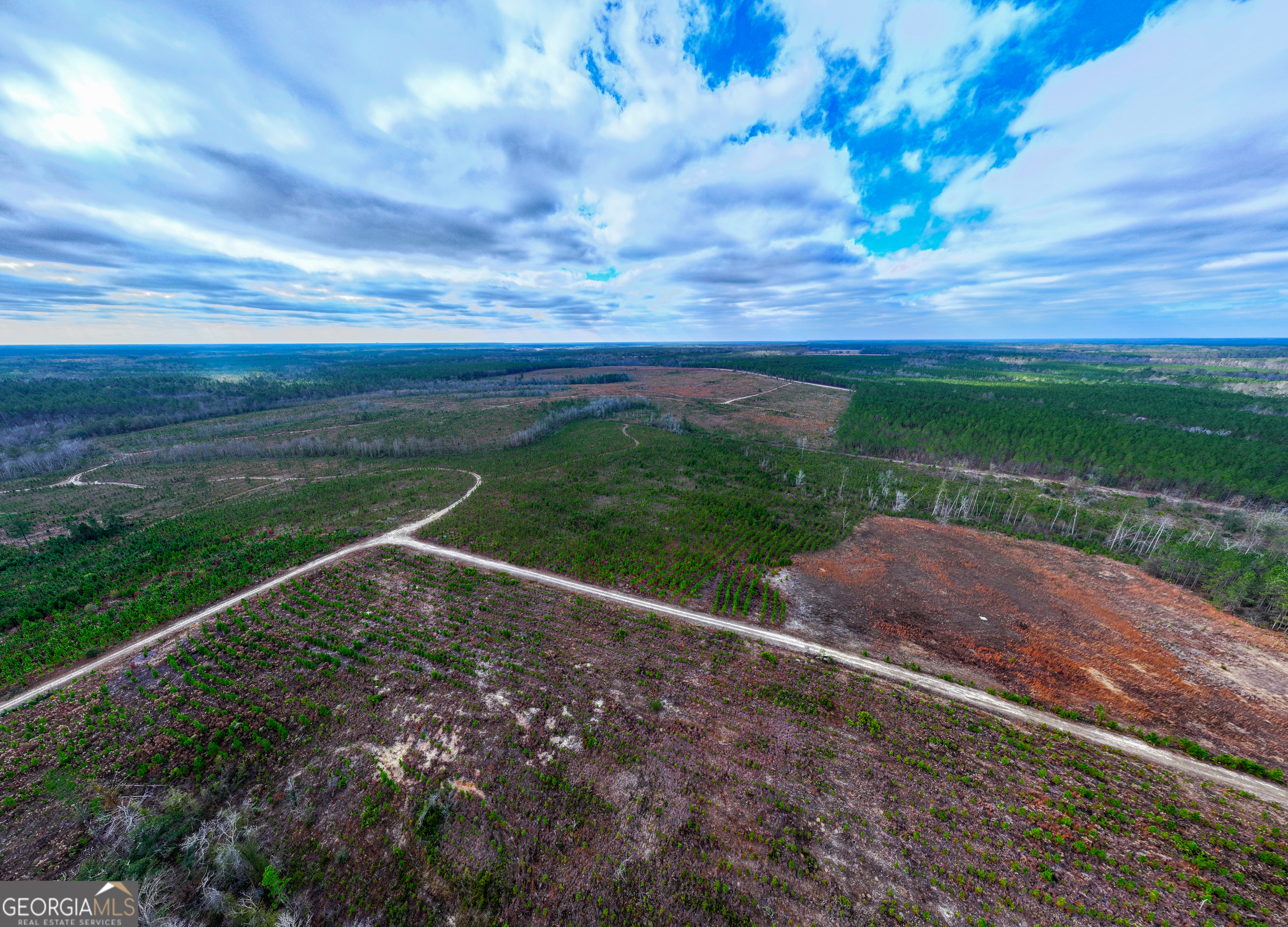 121 Highway 121 Surrency, GA 31563 - Photo 4 of 15 a view of a yard with an outdoor space