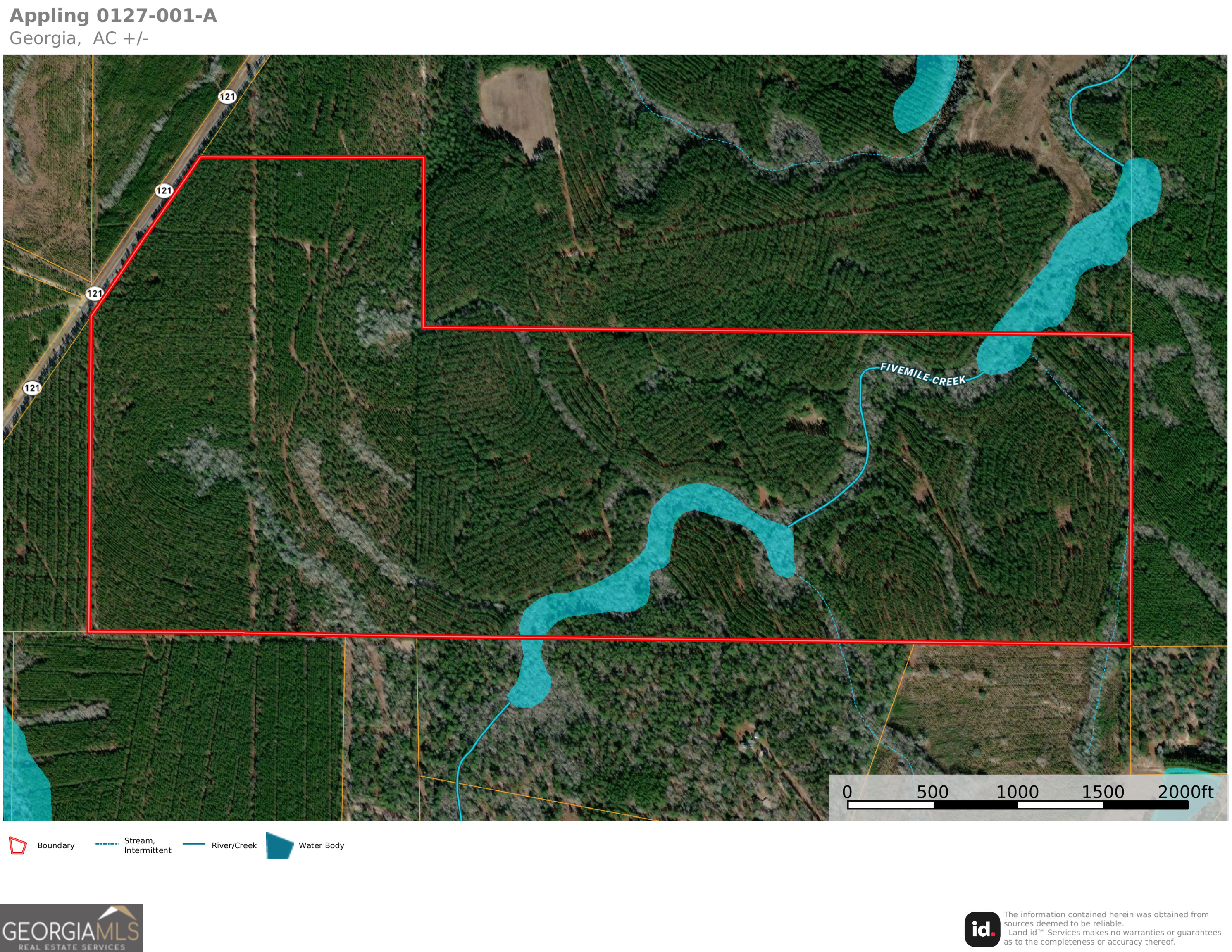 121 Highway 121 Surrency, GA 31563 - Photo 7 of 15 a picture of a yard