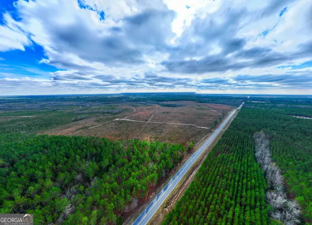 a view of a pathway with a yard