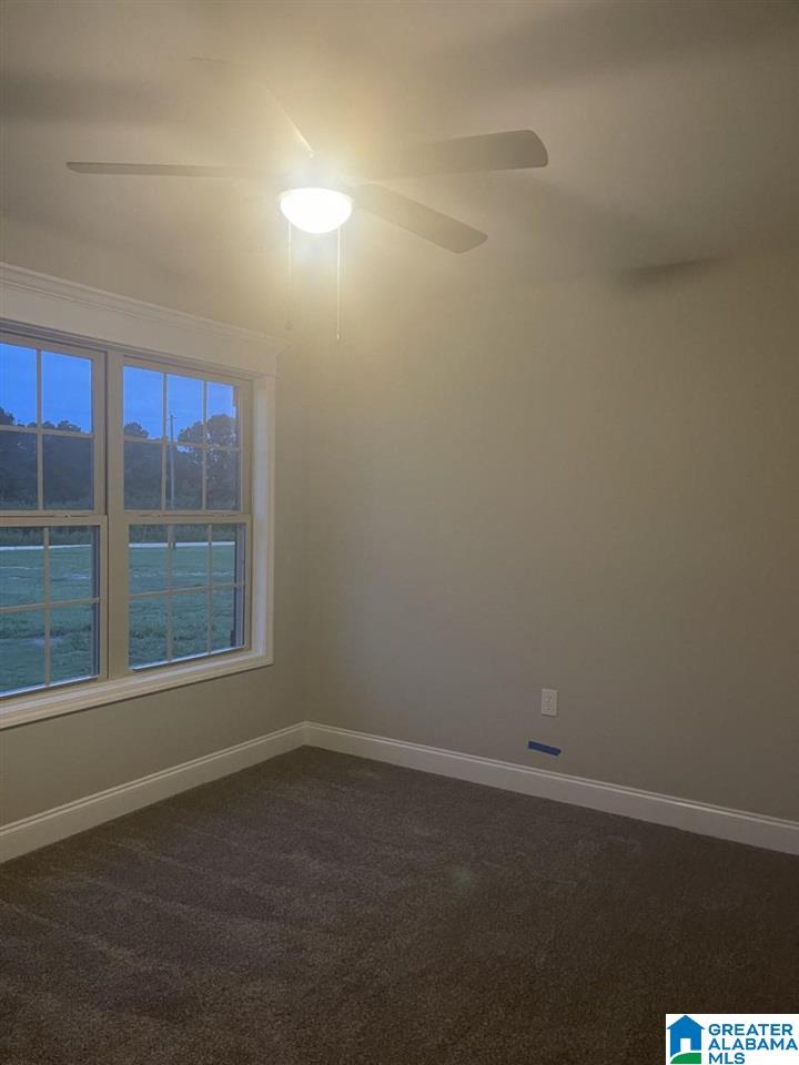 240 County Road 368 Clanton, AL 35045 - Photo 13 of 16
