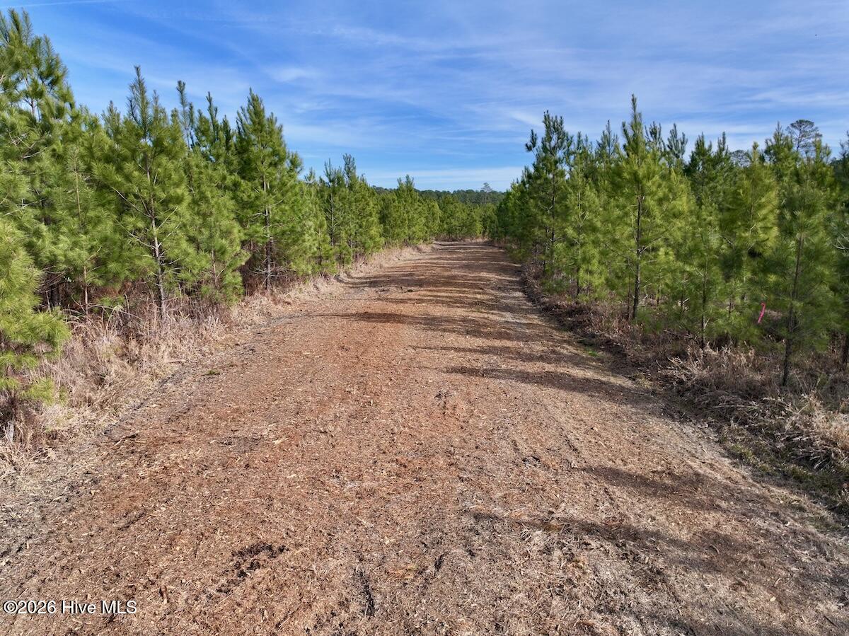 0 Old Washington Road Vanceboro, NC 28586 - Photo 7 of 34 7