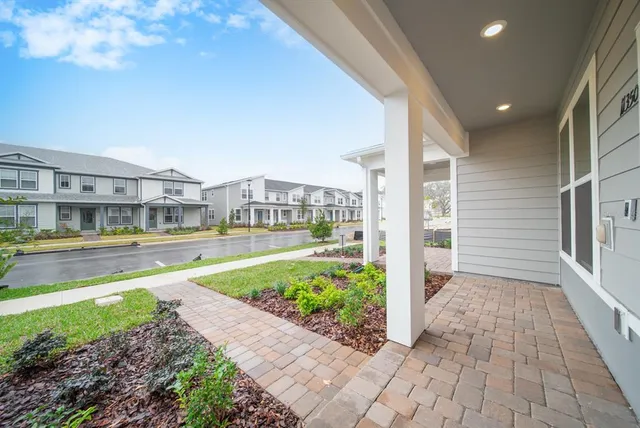 a street view with large trees