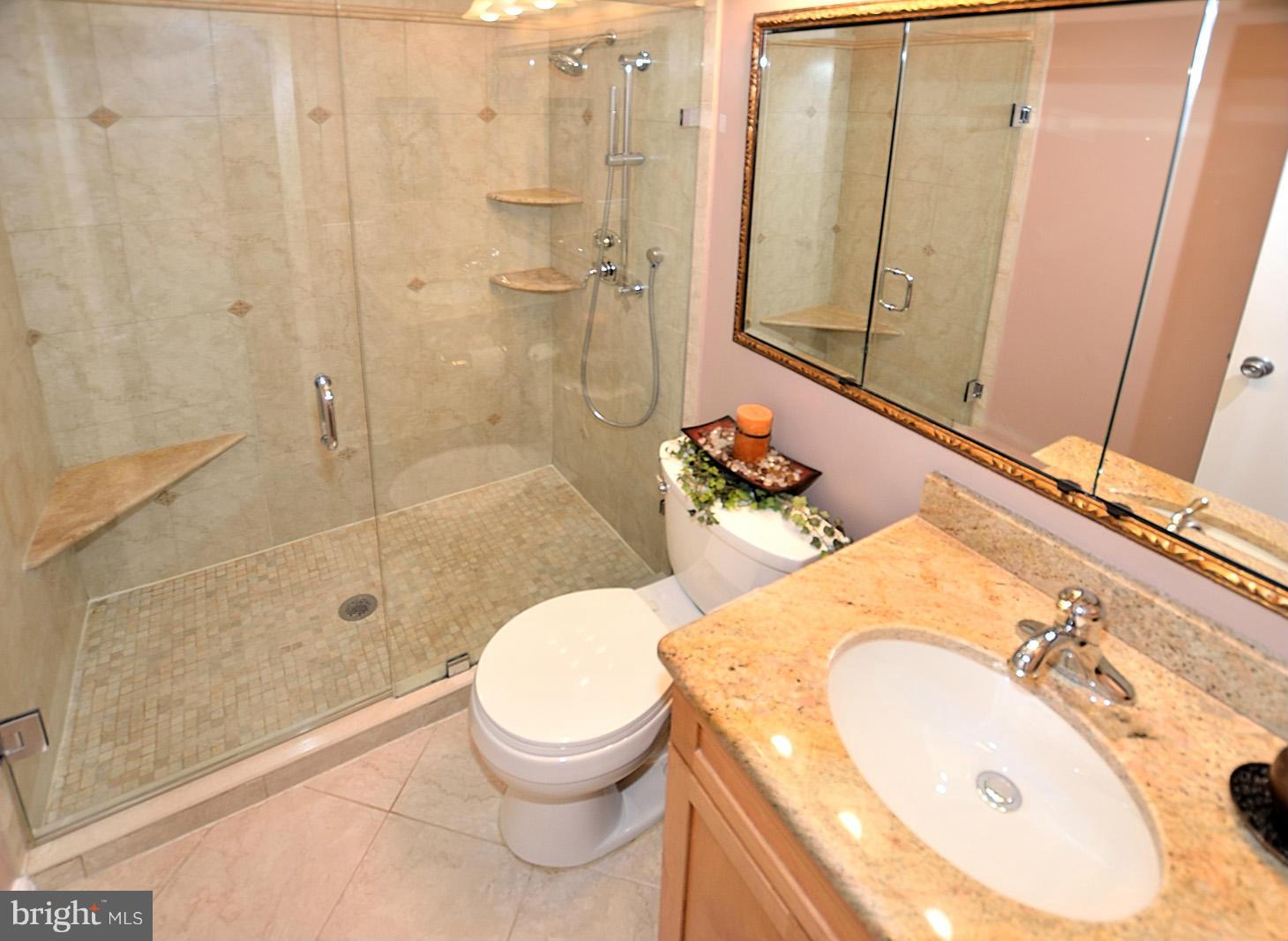 1769 Ivy Oak Square Reston, VA 20190 - Photo 16 of 24 a bathroom with a sink toilet and shower