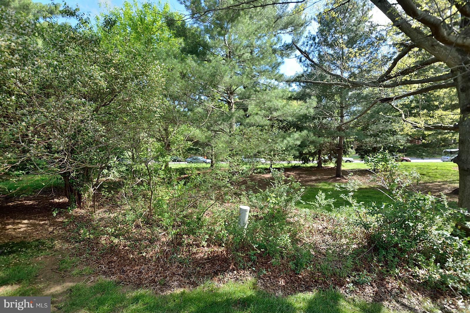 1769 Ivy Oak Square Reston, VA 20190 - Photo 24 of 24 a view of a lush green forest