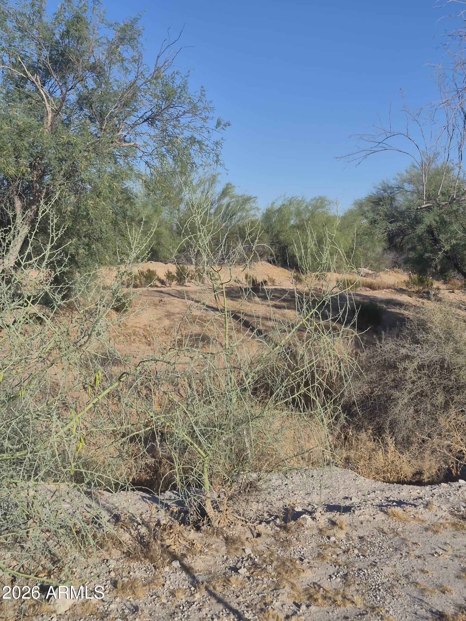 14751 South Airport Road Buckeye, AZ 85326 - Photo 6 of 20 cddc9206-e6b1-44bb-bbc2-fc07be429f56