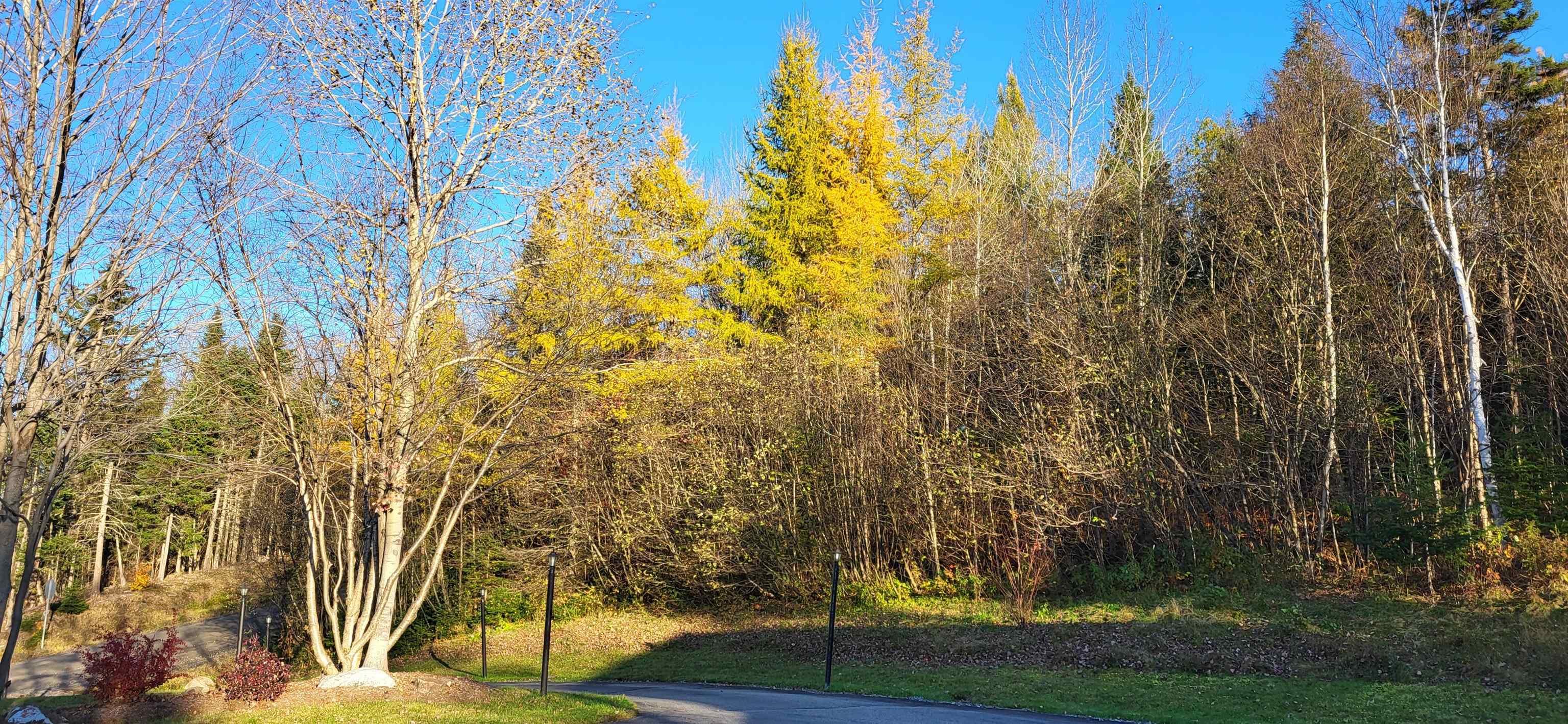 4 Pierre Road West Stewartstown, NH 03597 - Photo 4 of 40