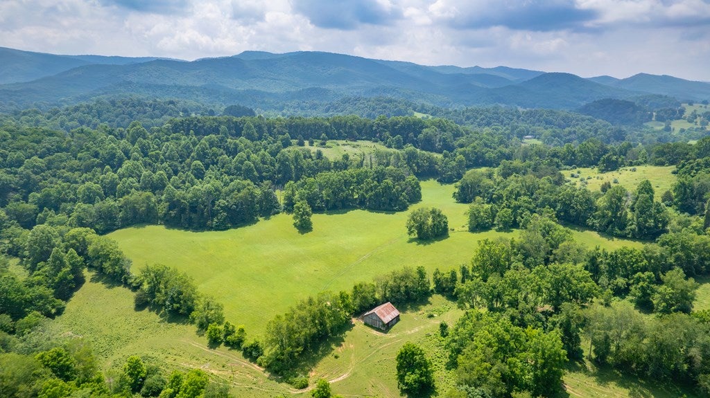 69.65-ac Widener Valley Road Glade Spring, VA 24340 - Photo 2 of 19 Gallery Image 2