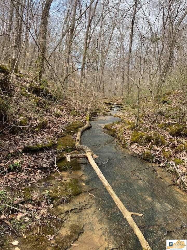 3300 Wards Road Mount Sherman, KY 42764 - Photo 53 of 71 Gallery Image 53