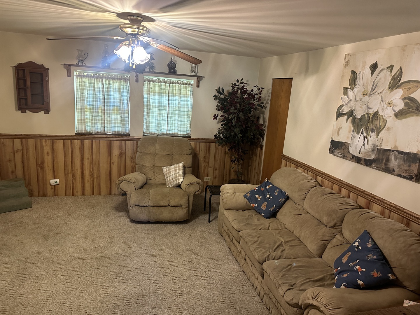 204 West Coal Street Buckner, IL 62819 - Photo 17 of 53