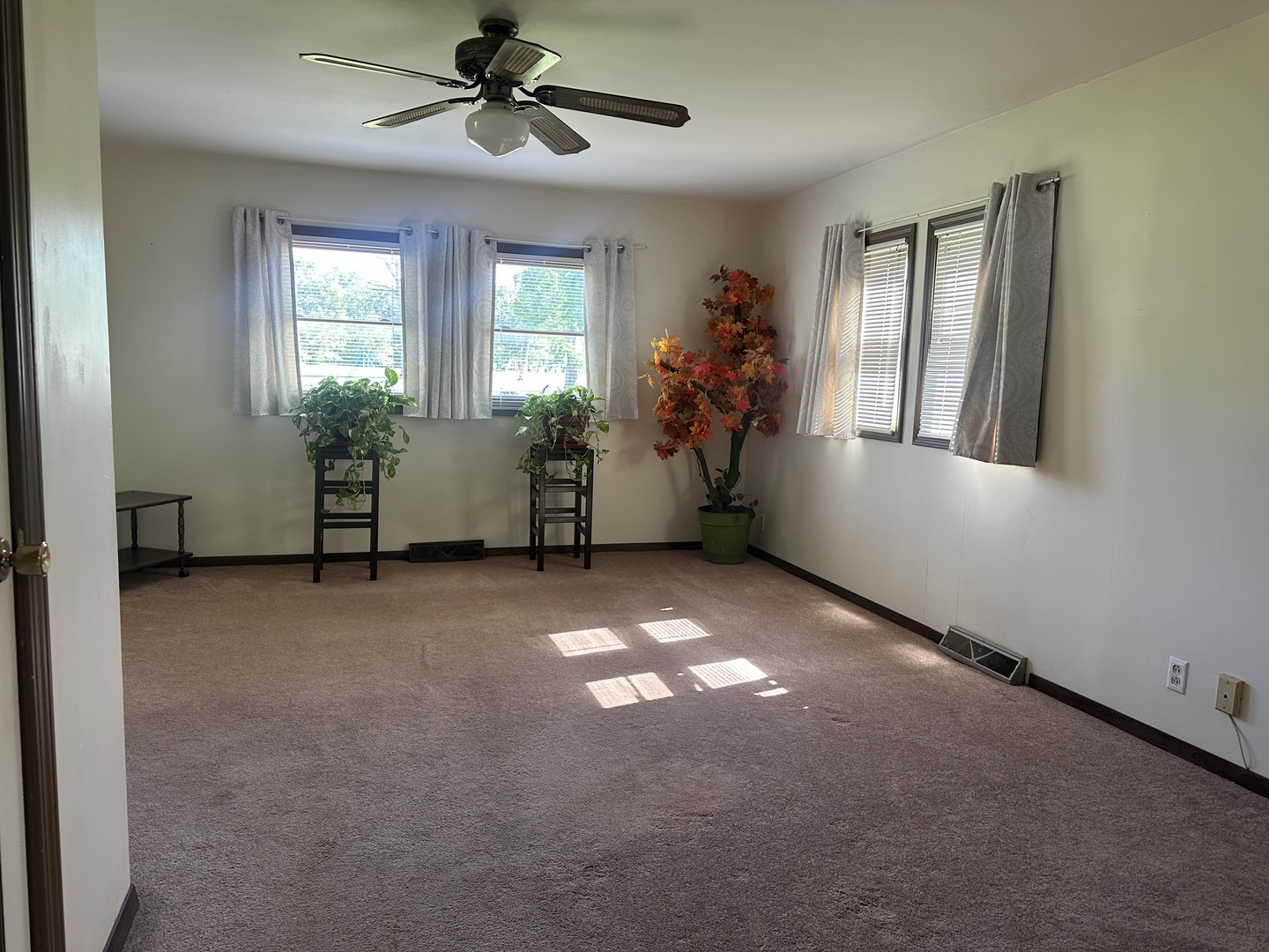 204 West Coal Street Buckner, IL 62819 - Photo 22 of 53