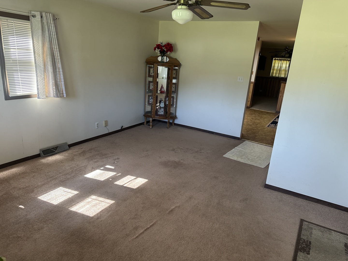 204 West Coal Street Buckner, IL 62819 - Photo 23 of 53