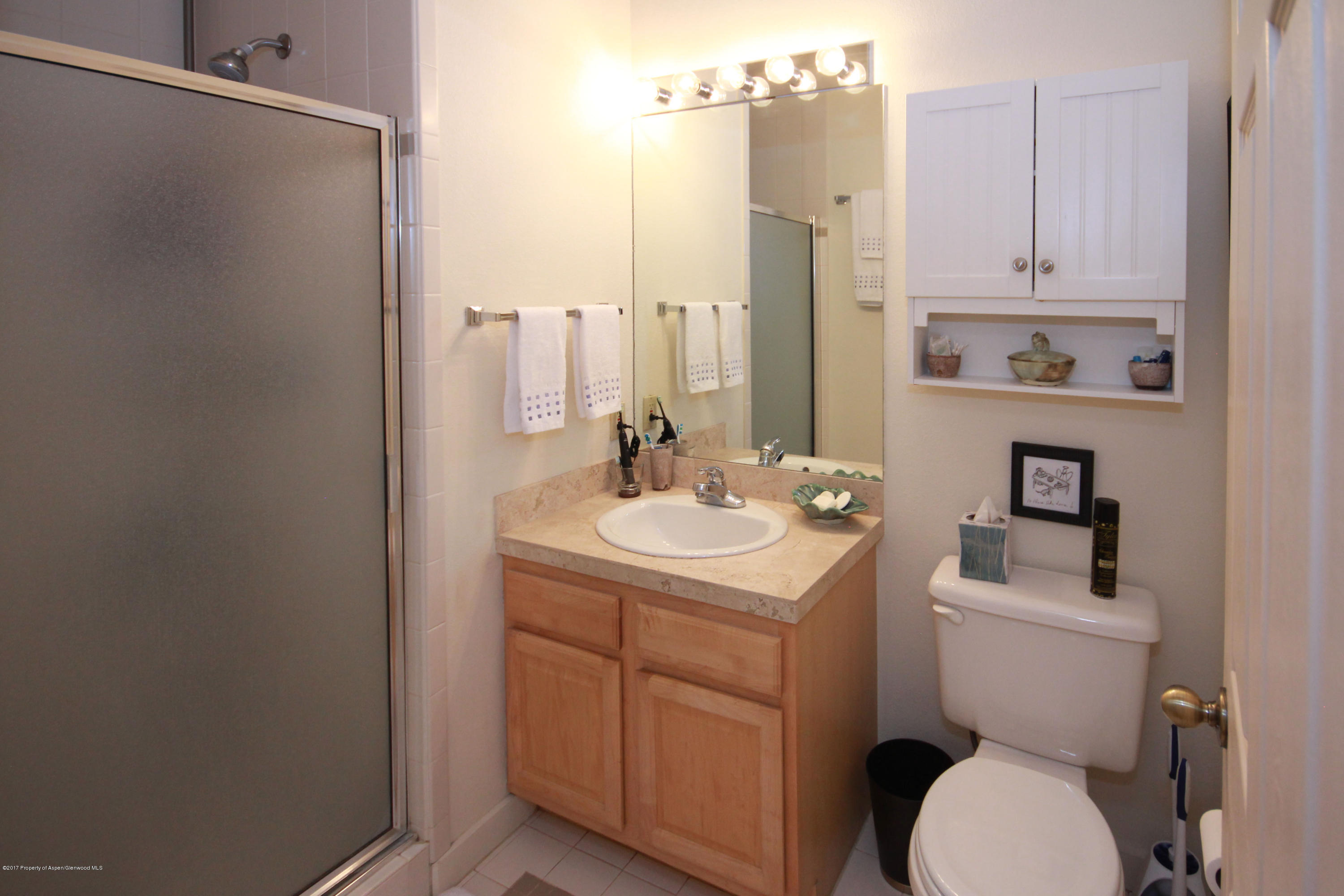 555 Gold Rivers Court, Unit 130 Basalt, CO 81621 - Photo 7 of 12 Guest Bath