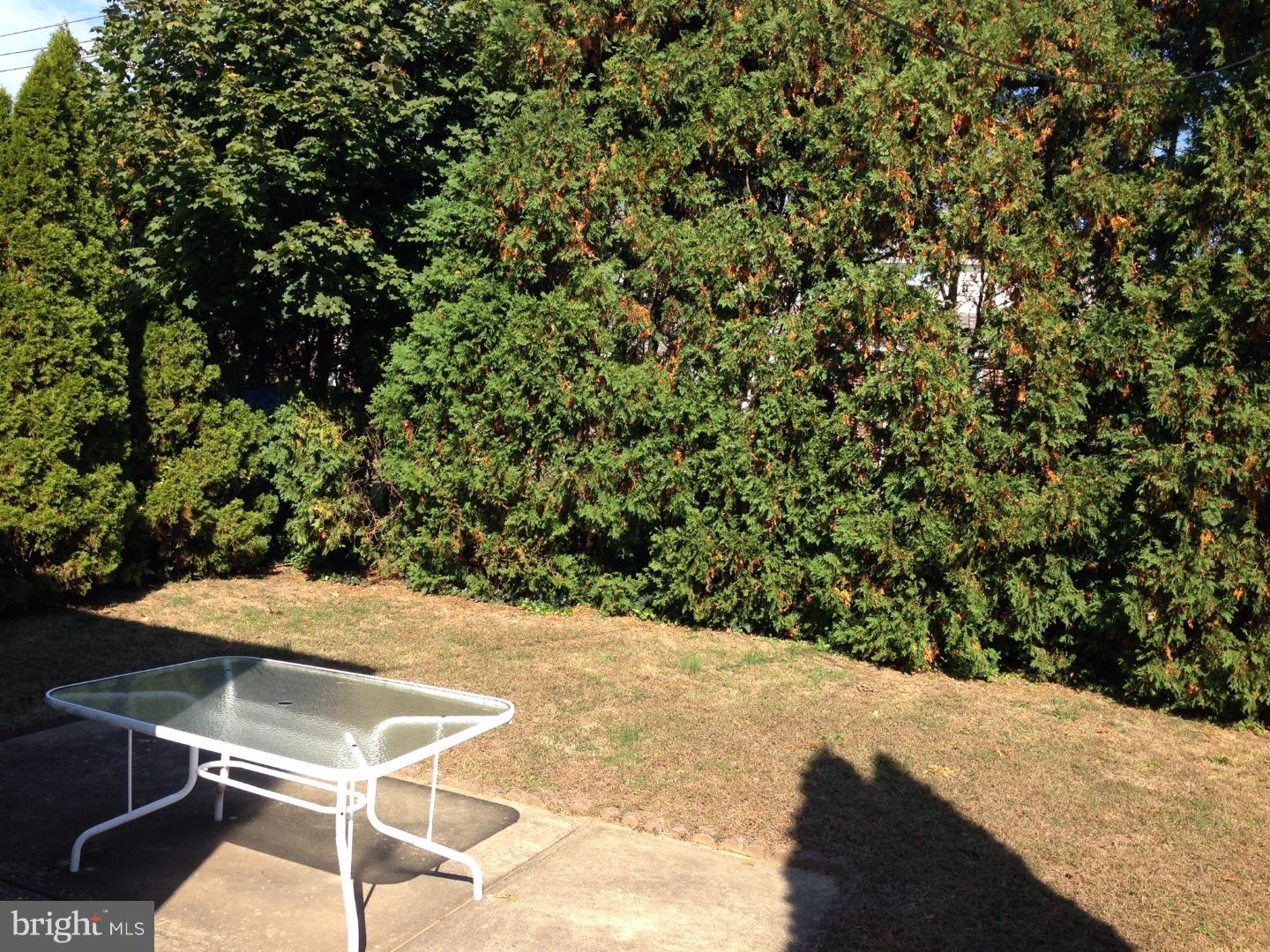 549 Selma Street, Unit A Philadelphia, PA 19116 - Photo 20 of 21 Back Yard