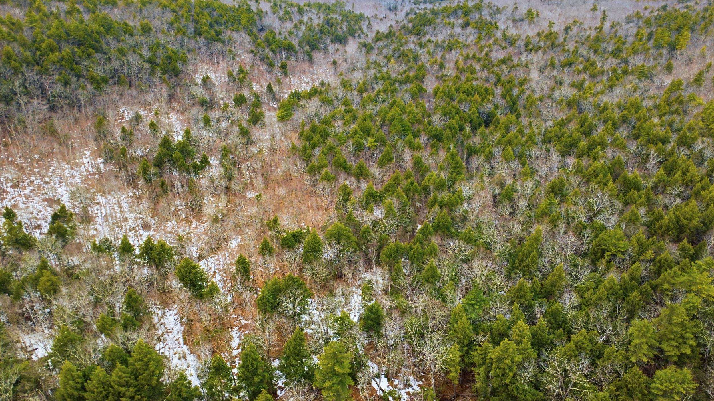 101-15 North Shore Road New Durham, NH 03855 - Photo 7 of 14