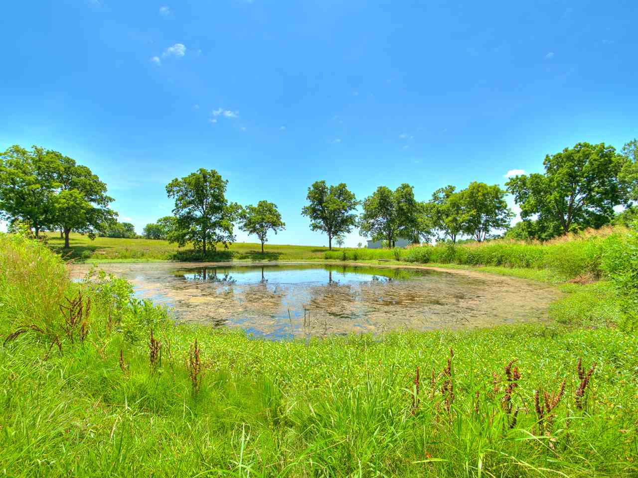49350 East 450th Road Pawnee, OK 74058 - Photo 4 of 25 Gallery Image 4