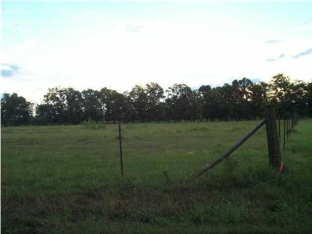 0 Thomassee Road Arnaudville, LA 70512 - Photo 5 of 7 Additional Photo