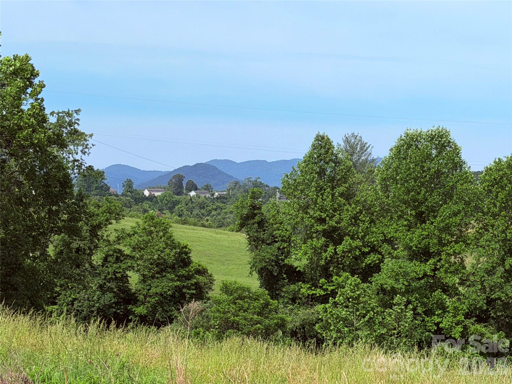 351 Mag Sluder Road Alexander, NC 28701 - Photo 31 of 48