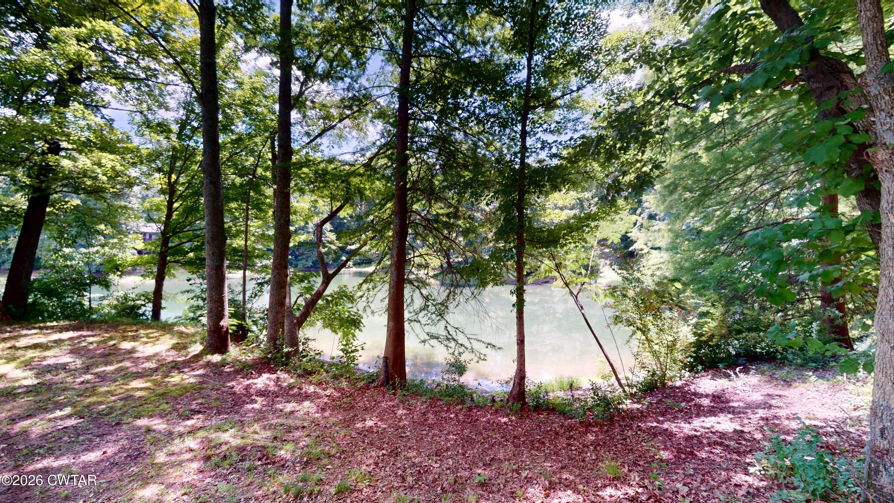 719 Oak Ridge Road Dyersburg, TN 38024 - Photo 4 of 29 Lakewood-06172026_160733