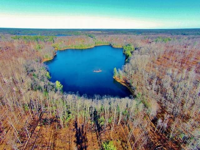 254-acres Kaubashine Road Hazelhurst, WI 54531 - Photo 39 of 78 Gallery Image 39