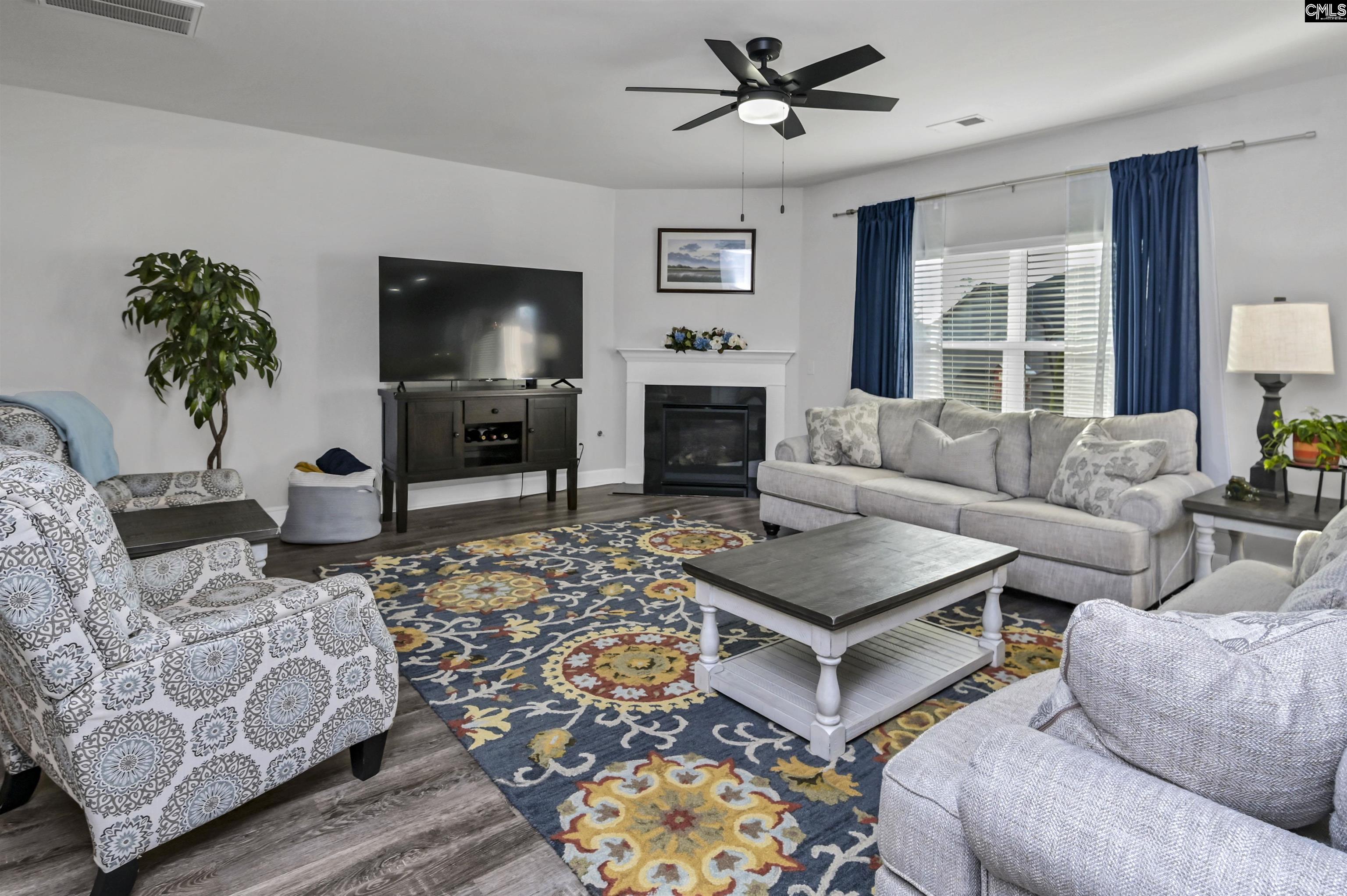 932 Trident Maple Lane Chapin, SC 29036 - Photo 8 of 42