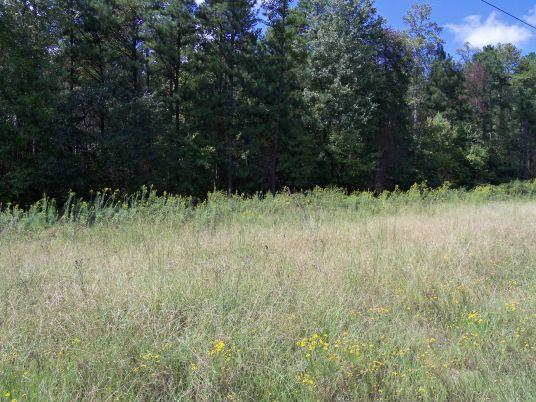 0 Quimby Jackson Road, Unit 9 Newnan, GA 30263 - Photo 1 of 1 Gallery Image 1