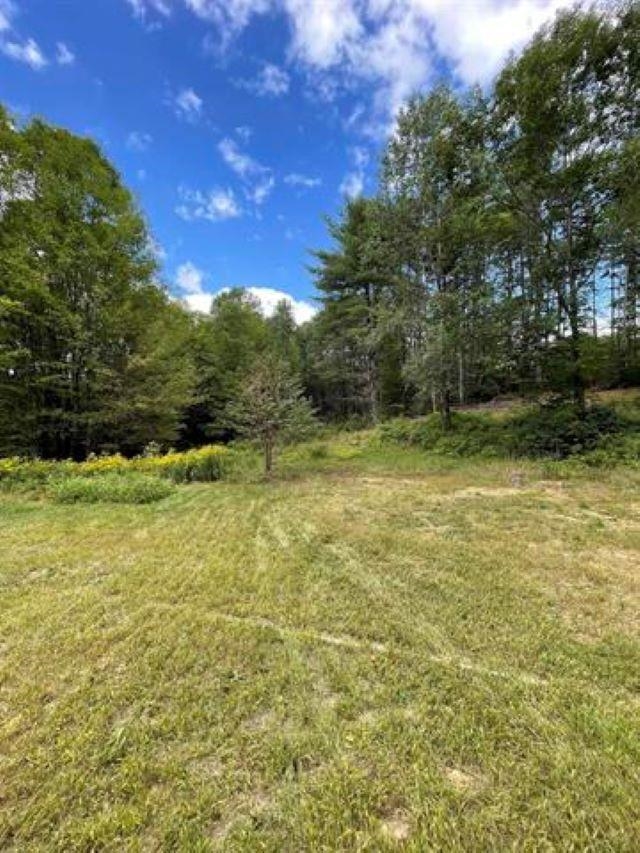 20 Nash Corner Road Gilsum, NH 03448 - Photo 6 of 17