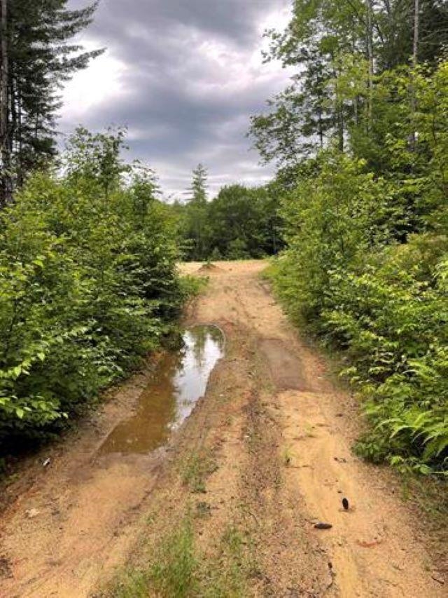 20 Nash Corner Road Gilsum, NH 03448 - Photo 9 of 17