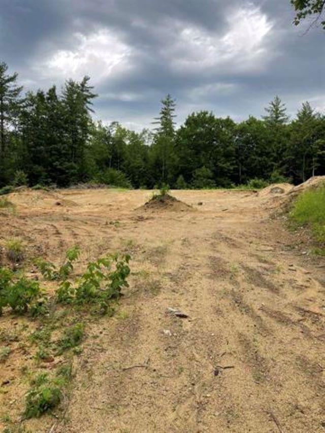 20 Nash Corner Road Gilsum, NH 03448 - Photo 10 of 17