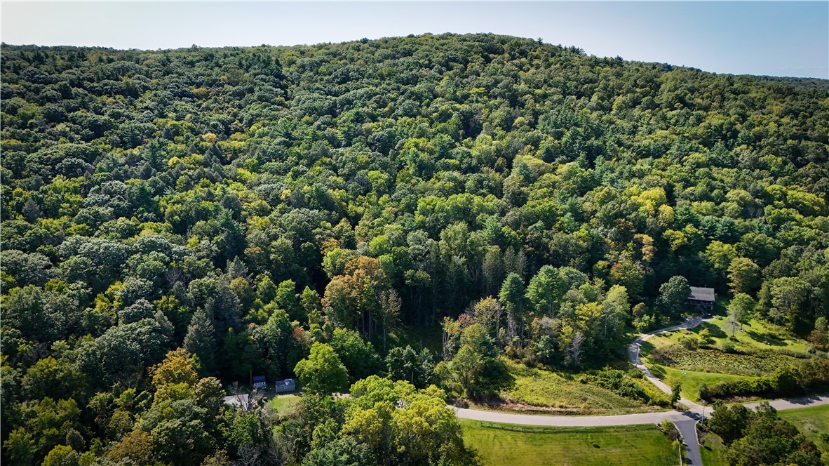 0 Worden Road Waverly, NY 14892 - Photo 3 of 42
