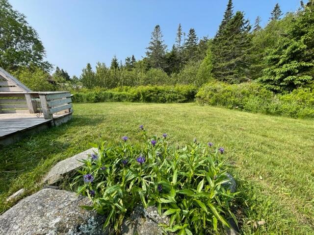 567 South Lubec Road Lubec, ME 04652 - Photo 60 of 64 IMG_2947