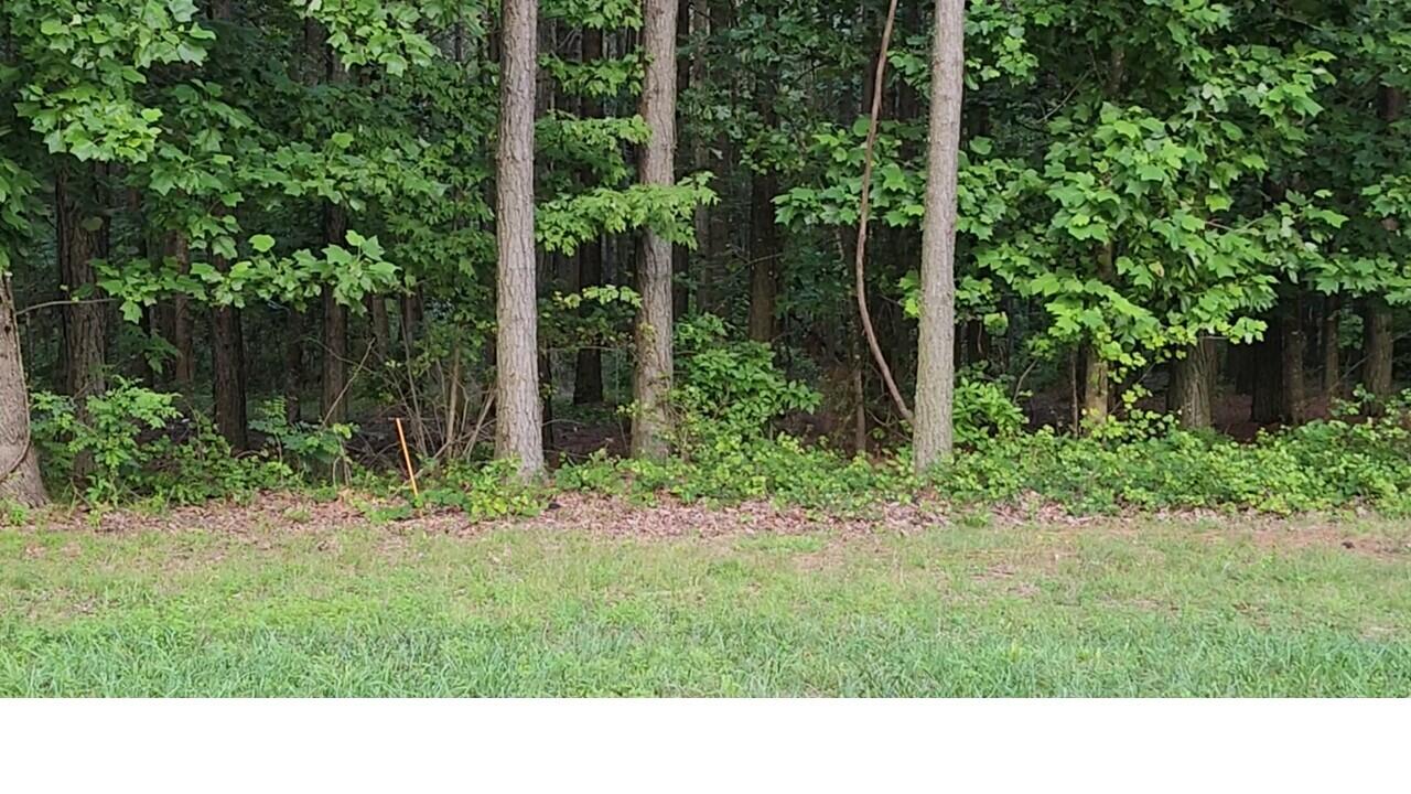 0 High Point Lane, Unit LOT 79 Jasper, TN 37347 - Photo 11 of 17 From Road
