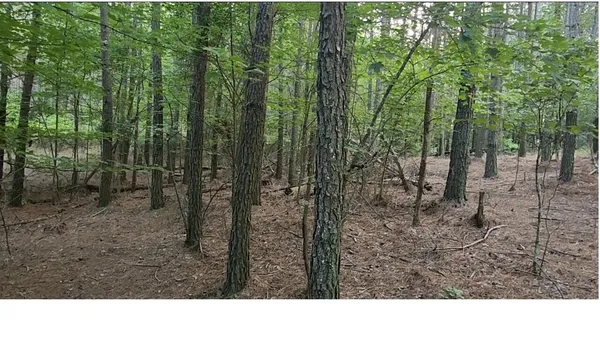 $130,000 | 0 High Point Lane, Unit LOT 79, Jasper, TN 37347