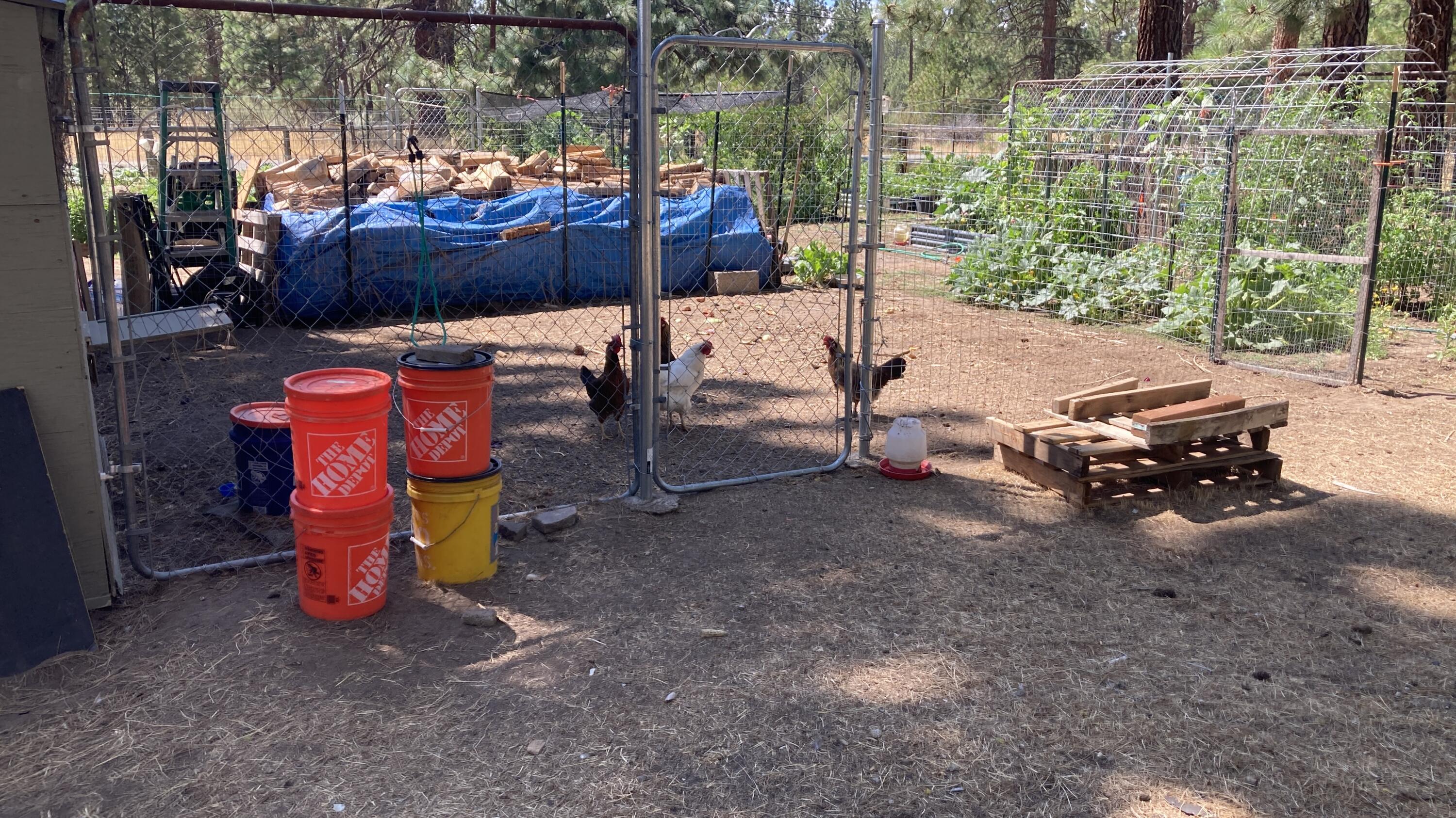 26895 Lee Road McArthur, CA 96056 - Photo 51 of 73 IMG_9537
