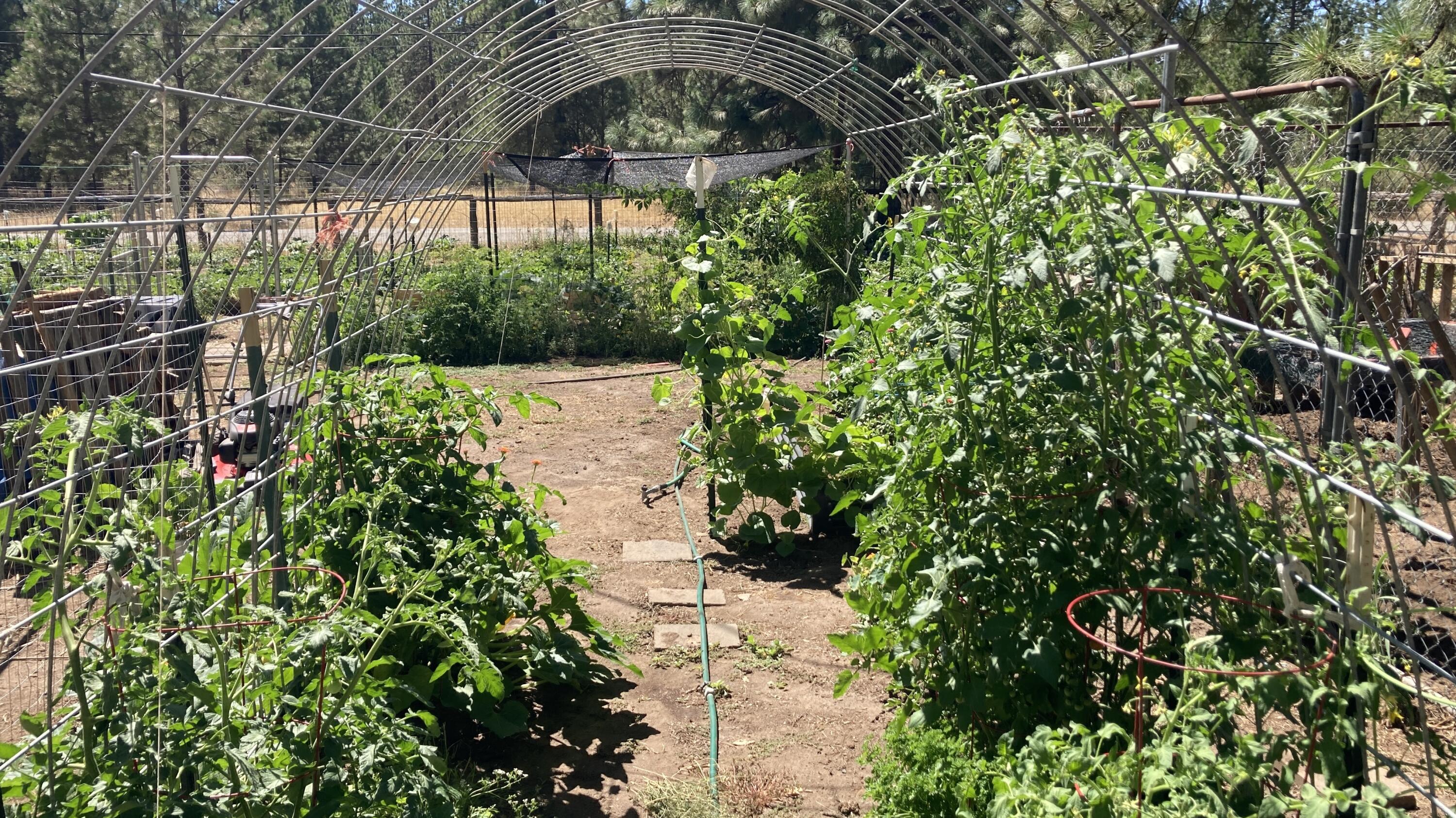 26895 Lee Road McArthur, CA 96056 - Photo 52 of 73 IMG_9539