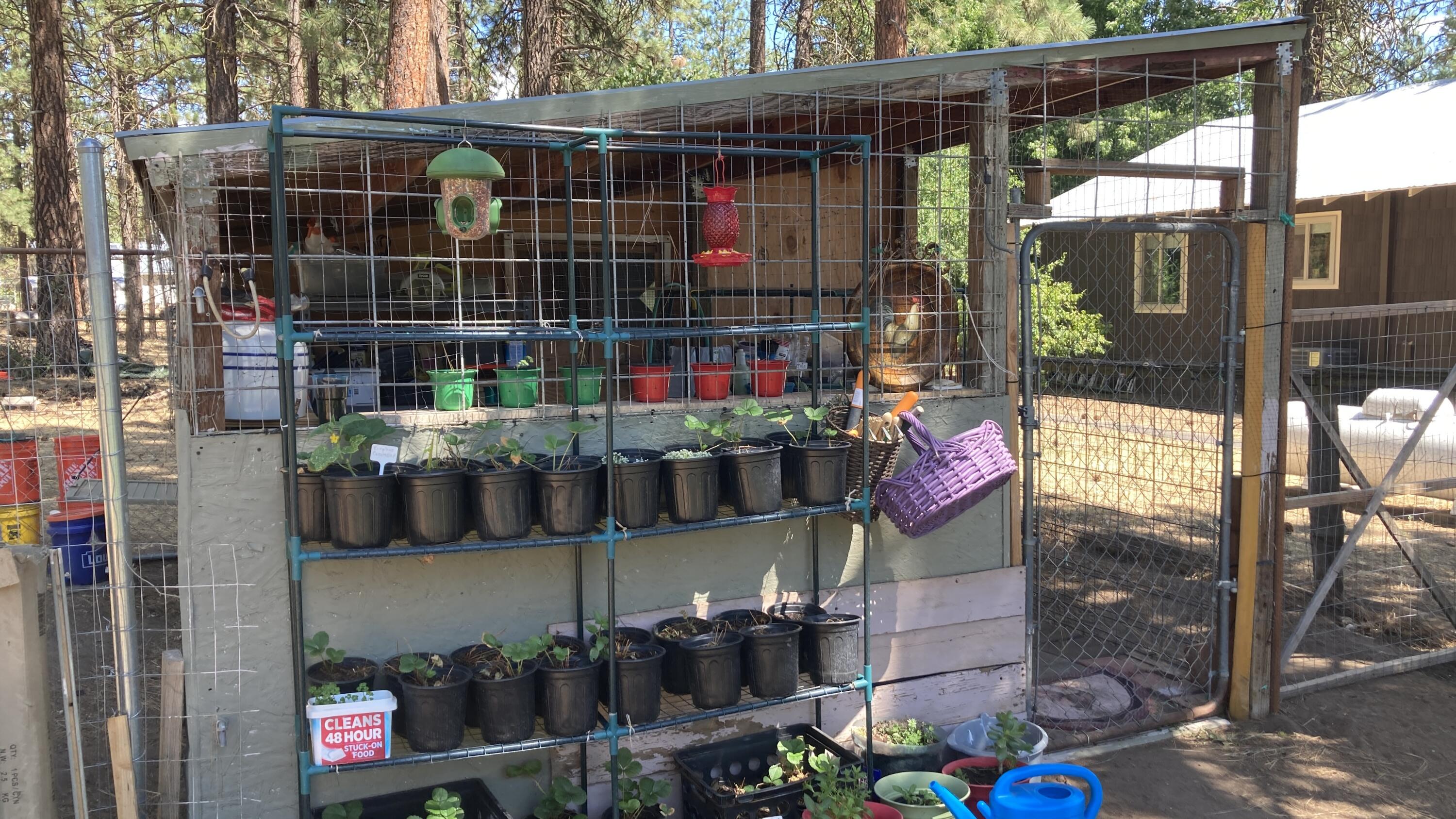 26895 Lee Road McArthur, CA 96056 - Photo 56 of 73 IMG_9547
