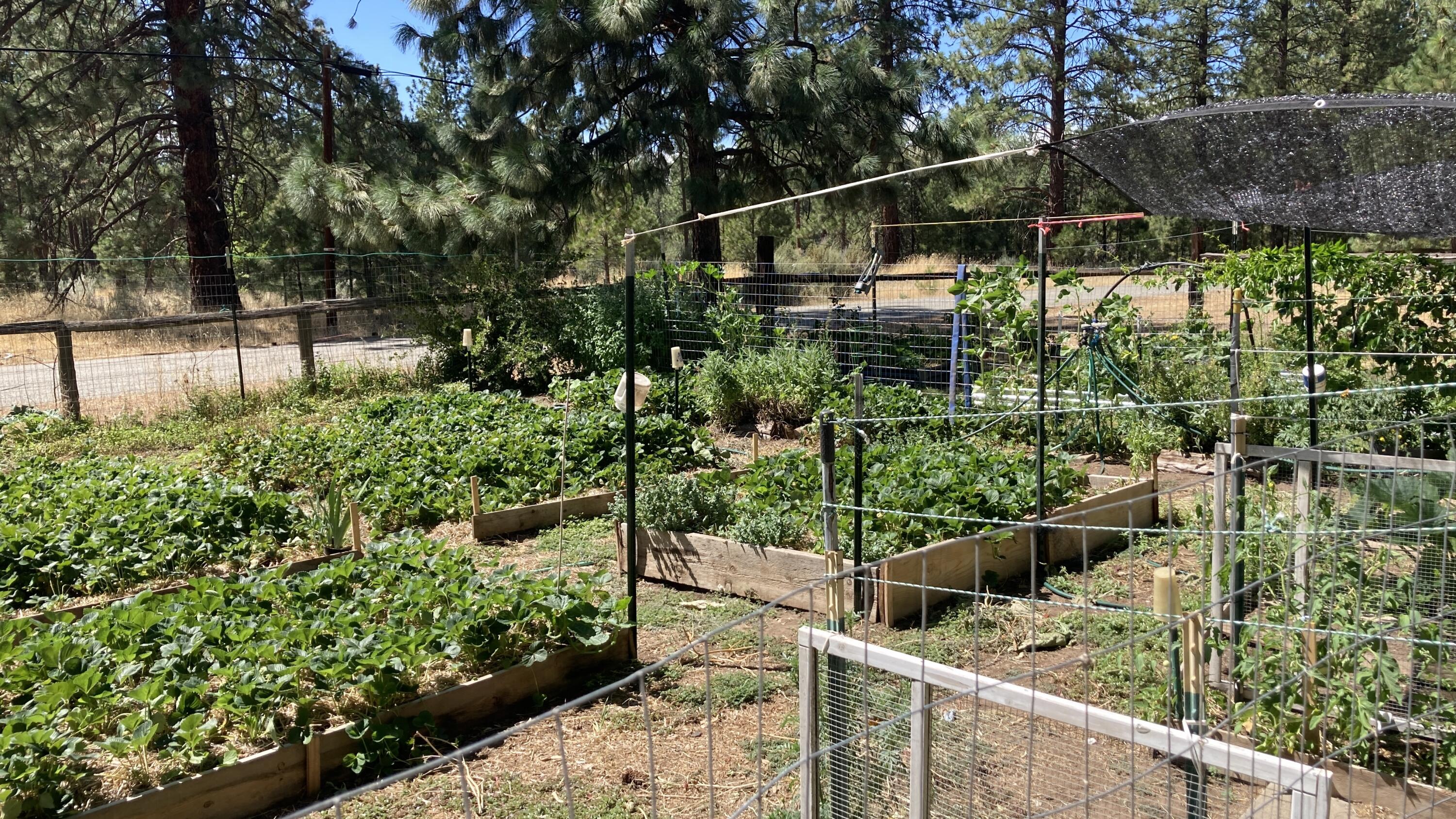 26895 Lee Road McArthur, CA 96056 - Photo 59 of 73 IMG_9550