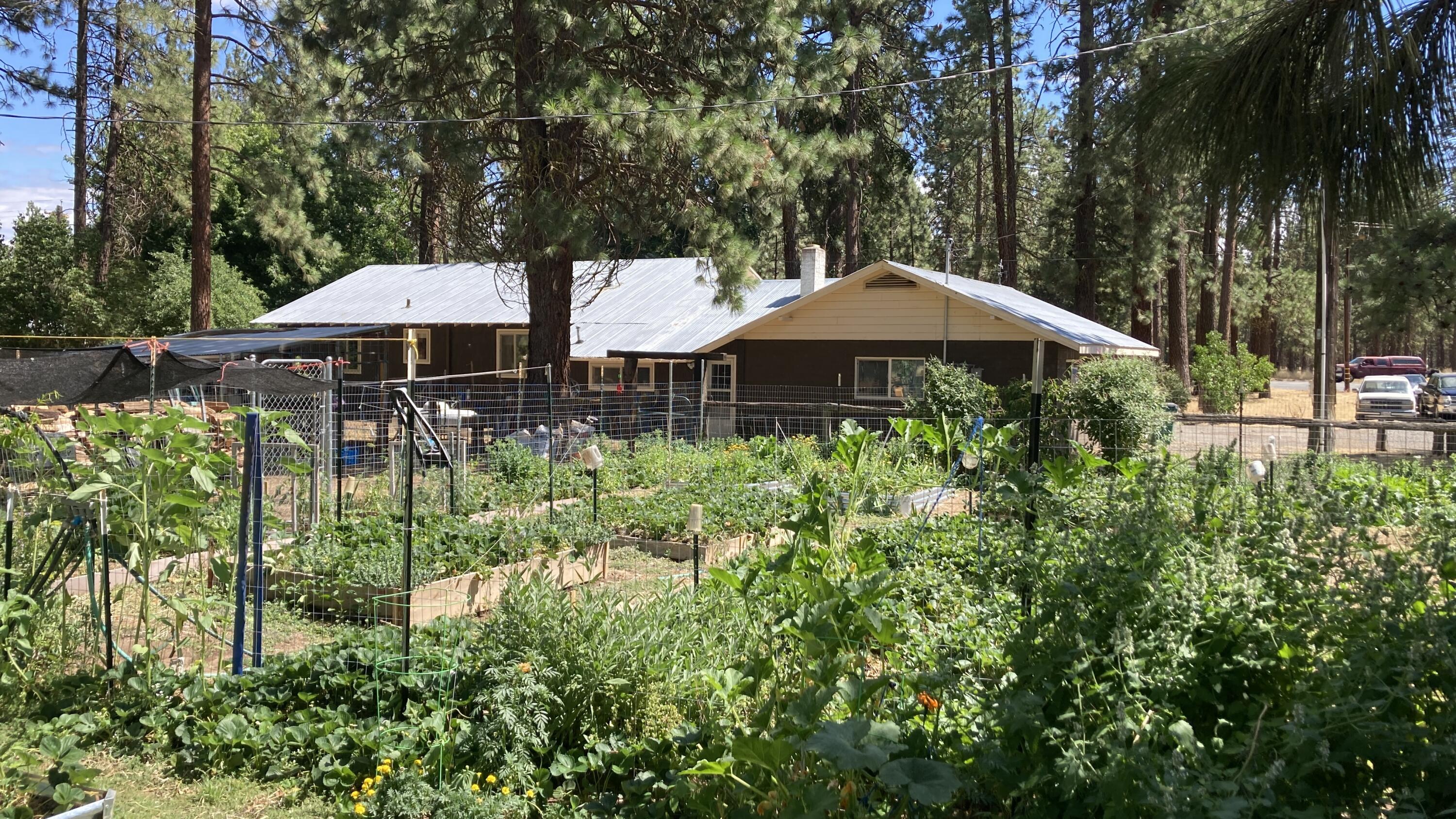 26895 Lee Road McArthur, CA 96056 - Photo 63 of 73 IMG_9556