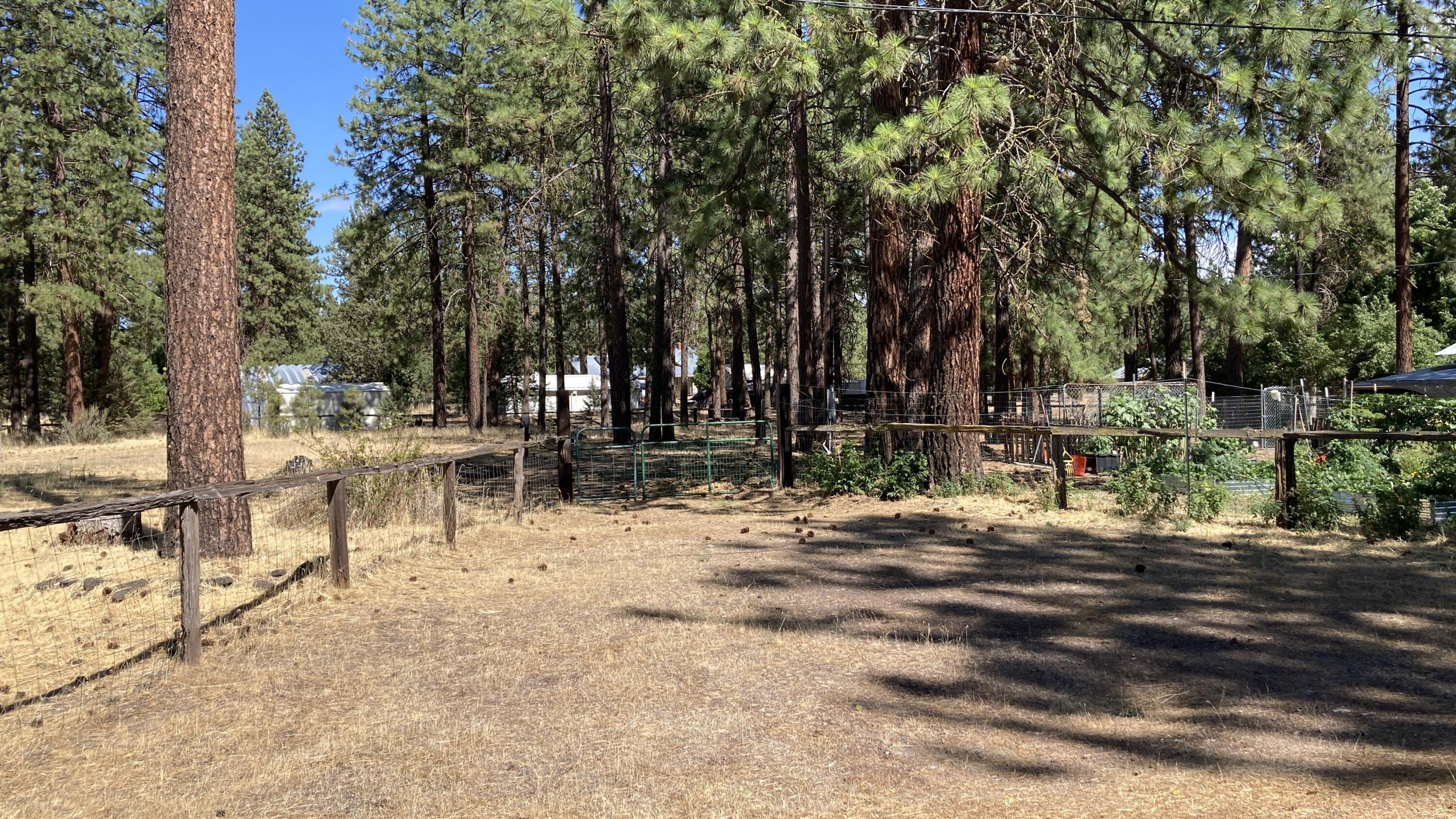 26895 Lee Road McArthur, CA 96056 - Photo 71 of 73 IMG_9624
