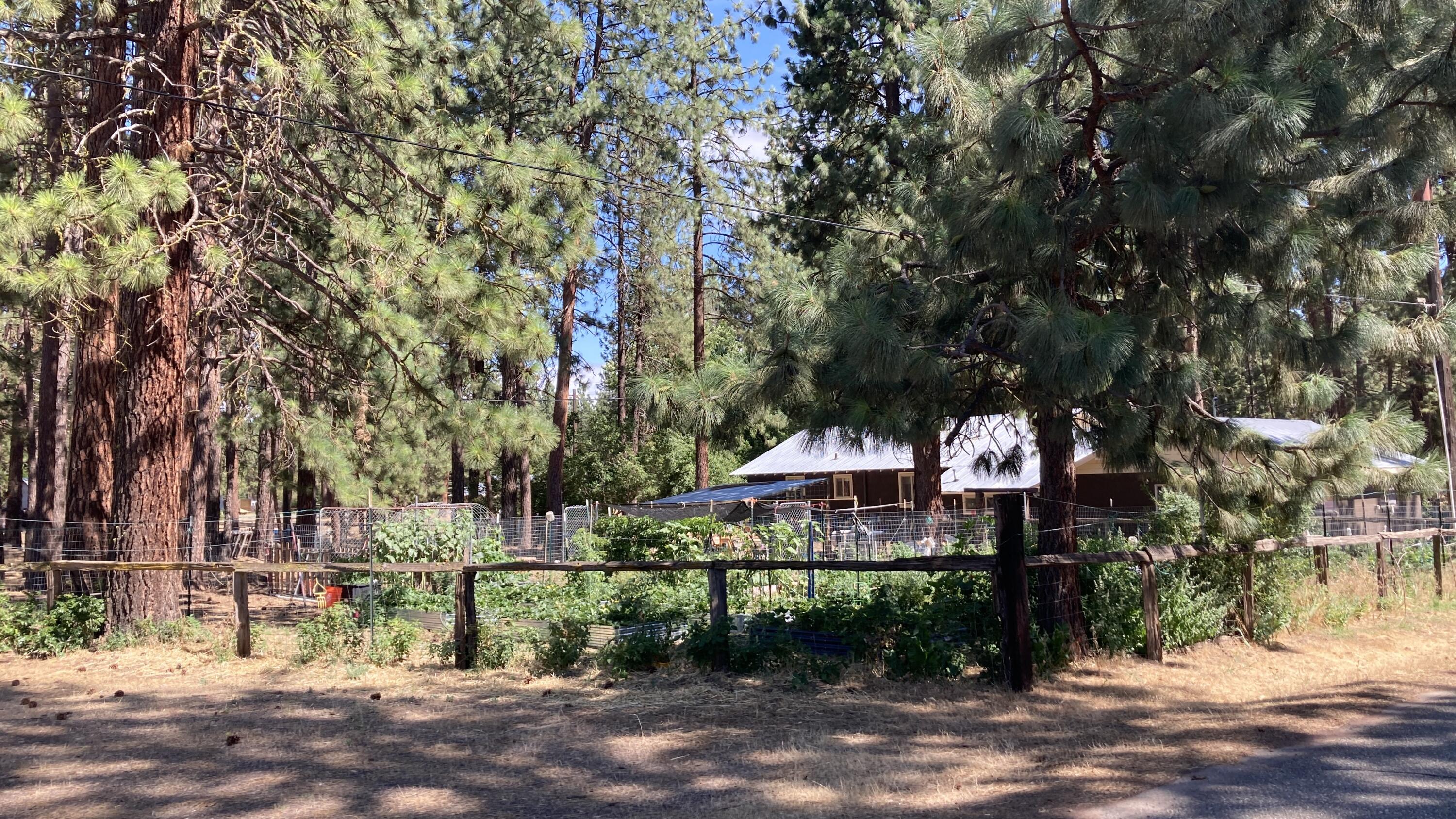 26895 Lee Road McArthur, CA 96056 - Photo 72 of 73 IMG_9625
