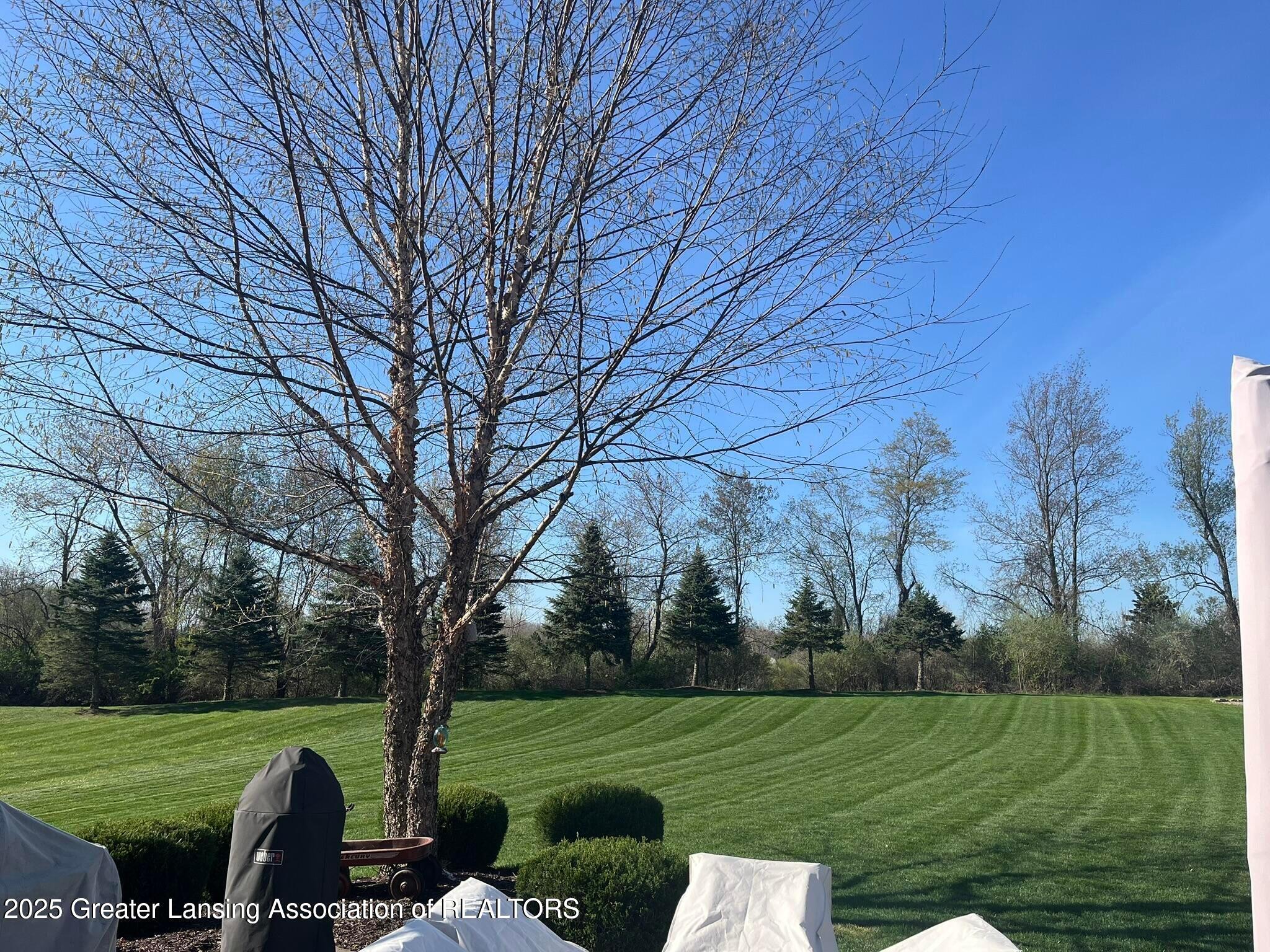 1539 Wellman Road Dewitt, MI 48820 - Photo 31 of 33 20250430164333835028000000-o