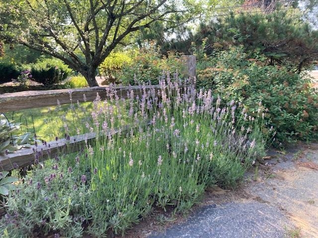 189 Leavitt Road Belmont, NH 03220 - Photo 3 of 58