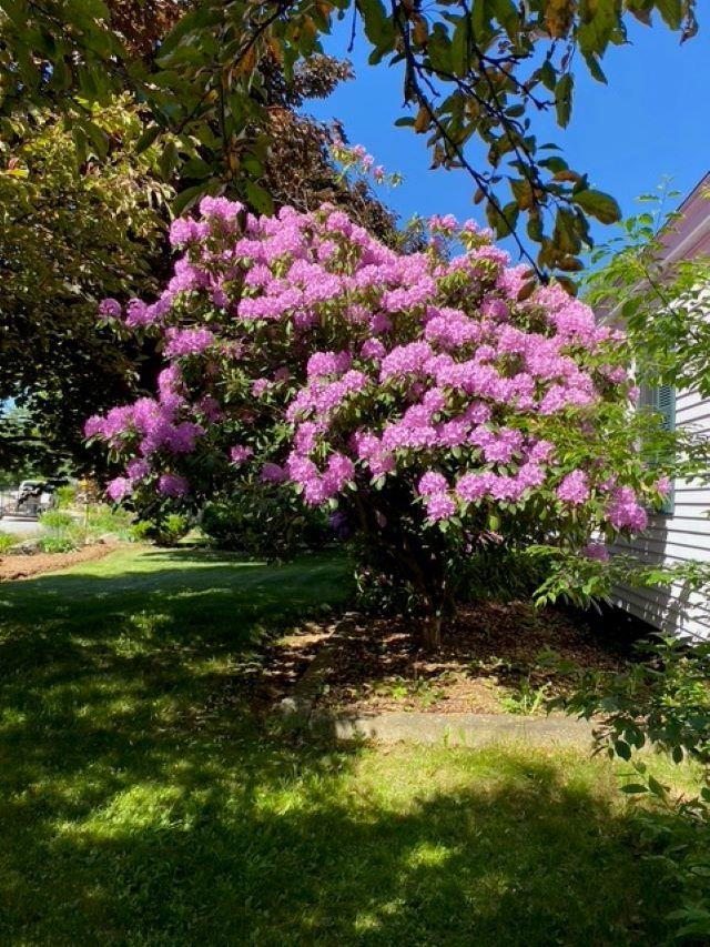 189 Leavitt Road Belmont, NH 03220 - Photo 49 of 58