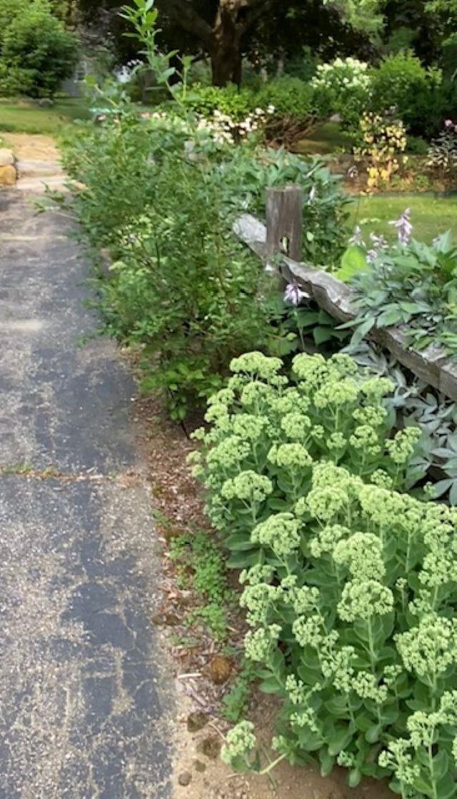 189 Leavitt Road Belmont, NH 03220 - Photo 55 of 58