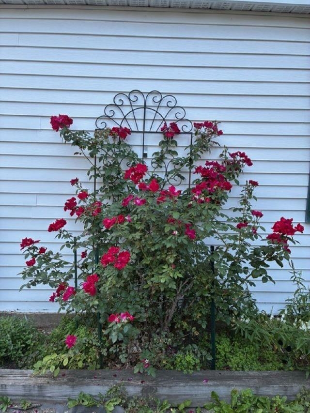 189 Leavitt Road Belmont, NH 03220 - Photo 9 of 58