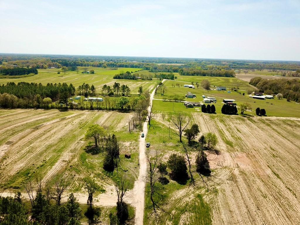 10.69-acres Summer Road Slocomb, AL 36375 - Photo 48 of 51