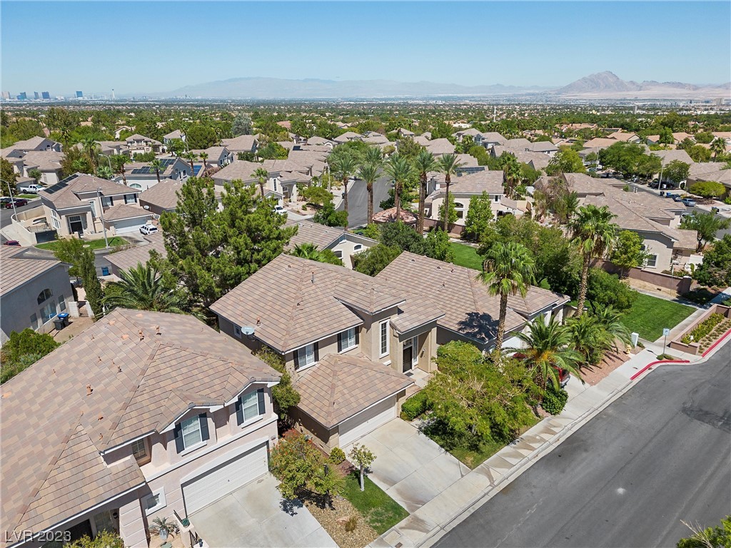 1951 Thunder Ridge Circle Henderson, NV 89012 - Photo 43 of 57 Gallery Image 43