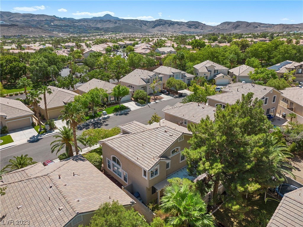 1951 Thunder Ridge Circle Henderson, NV 89012 - Photo 44 of 57 Gallery Image 44