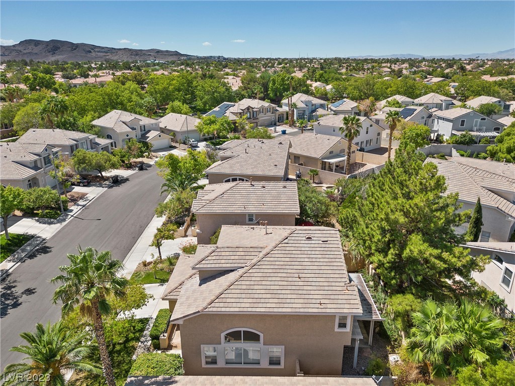 1951 Thunder Ridge Circle Henderson, NV 89012 - Photo 45 of 57 Gallery Image 45